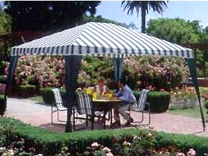 Patio Canopy