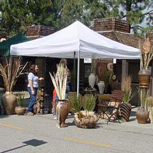 White Instant Canopy