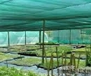 Nursery Shade Cloth