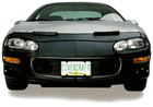 Custom Car Bra